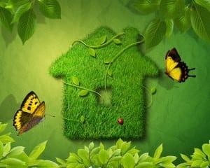 green companies definition