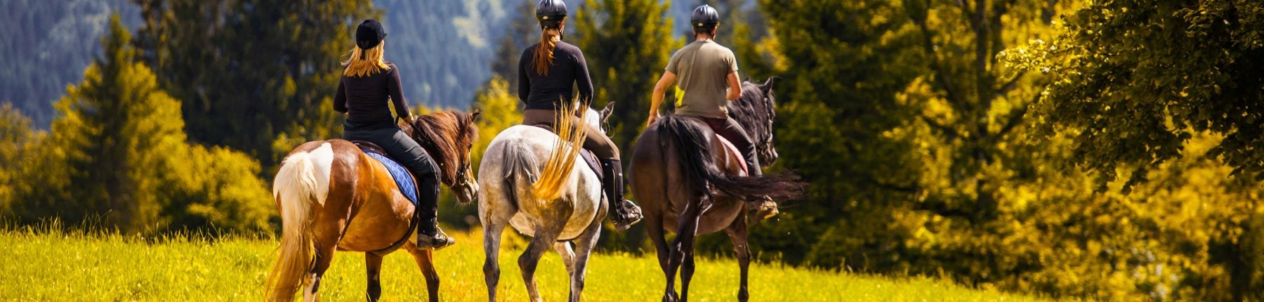 Horseback riding at Madden's