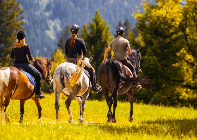 Horseback riding at Madden's