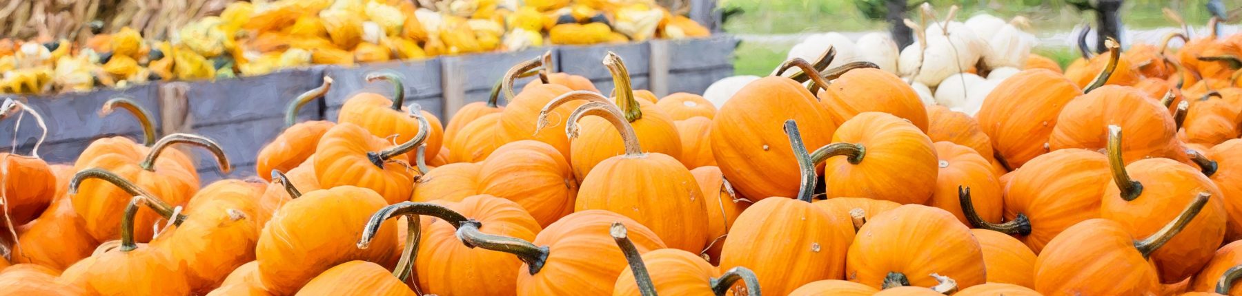 Pumpkins in a wooden box