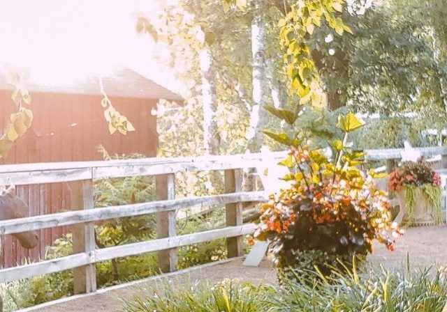 wooden fence in front of barn