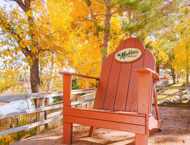 oversized Adirondack chair with autumn trees