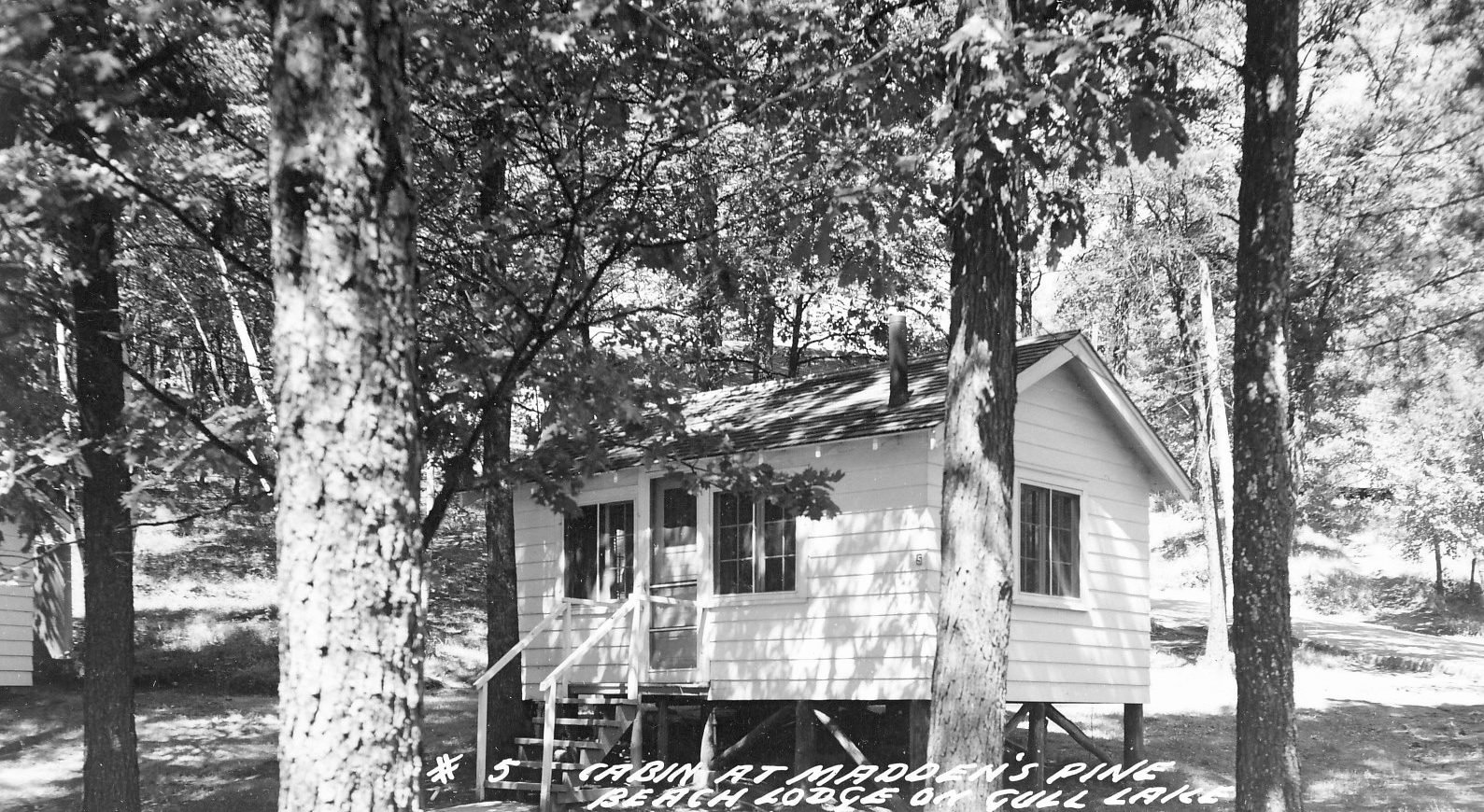 Madden's Lodge Cabins